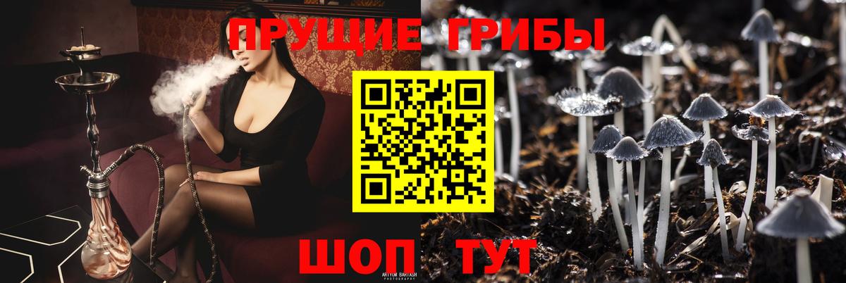 Псилоцибиновые грибы прущие грибы Новокубанск